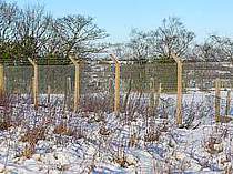 Existing concrete fence posts re-clad with new 50x50x3mm welded mesh and 3no. strands of galvanised barbed wire