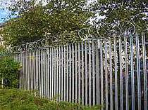 450mm dia. concertina razor wire fixed onto the top of a steel palisade fence